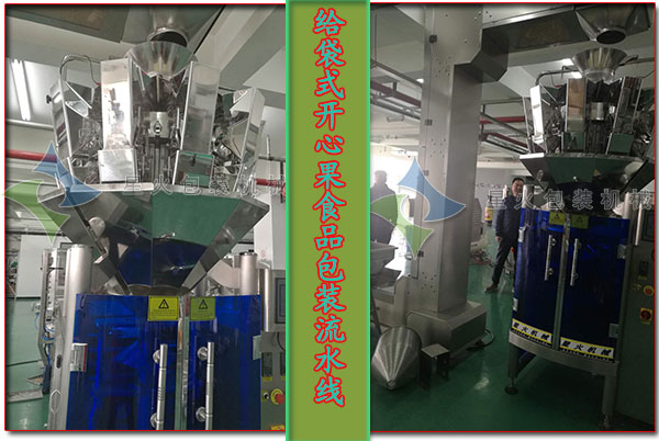 全自動(dòng)給袋式開心果食品包裝流水線