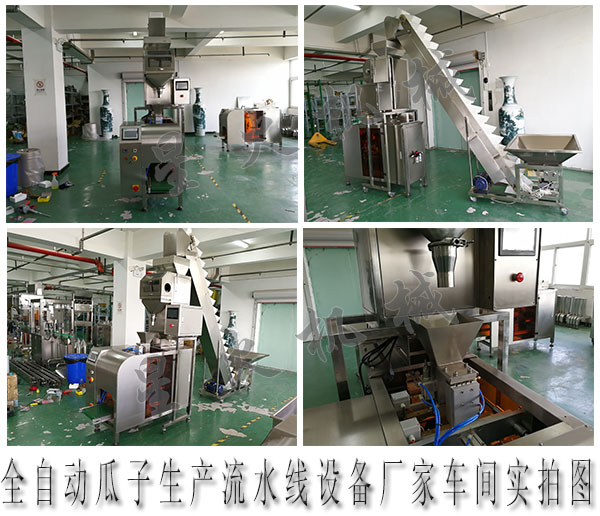 瓜子自動化包裝流水線設備,全自動瓜子生產流水線設備廠家