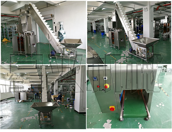 全套葡萄干包裝生產線設備/大型葡萄干包裝流水線