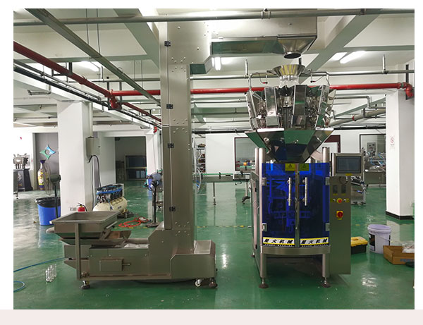 全自動(dòng)燉肉料包裝生產(chǎn)線