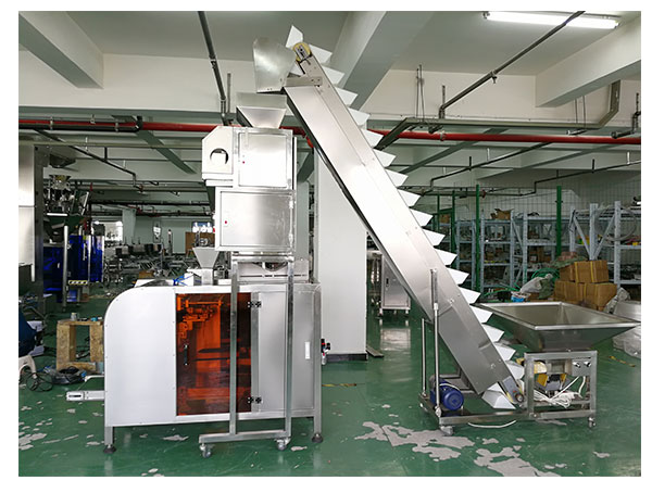 自動(dòng)化南瓜籽包裝流水線