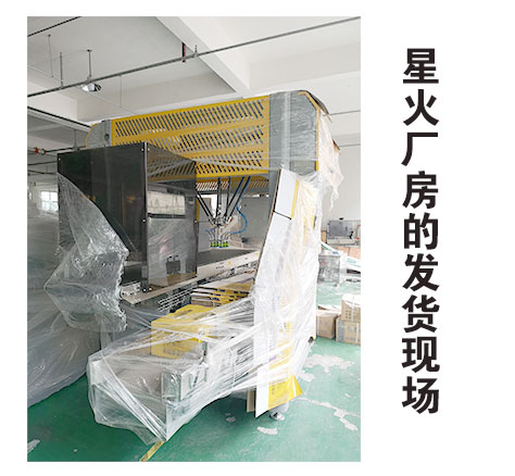 全自動(dòng)雞汁包裝生產(chǎn)線