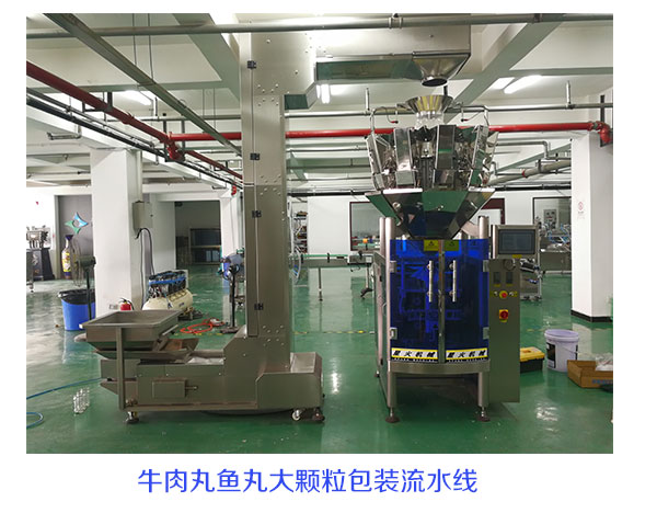 自動(dòng)顆粒包裝流水線