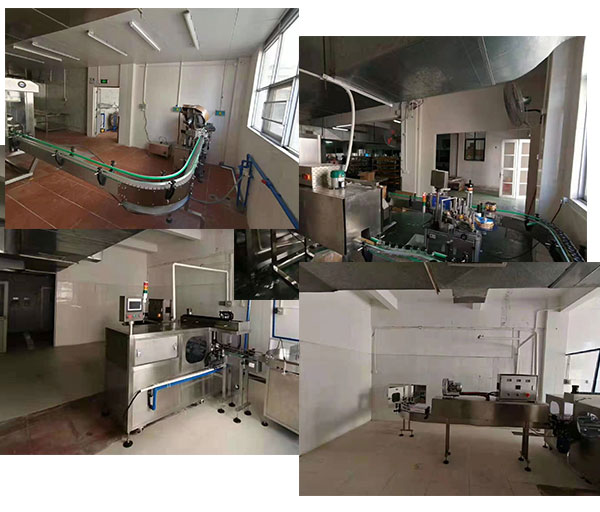 自動化顆粒包裝生產線