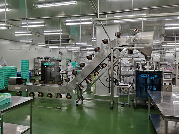 自動化顆粒包裝生產線